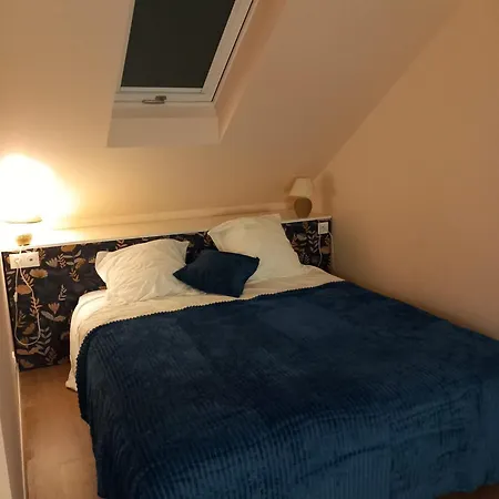 Cosy 3*